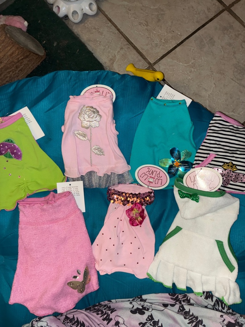 Bundle x sm up to 6 pounds#11